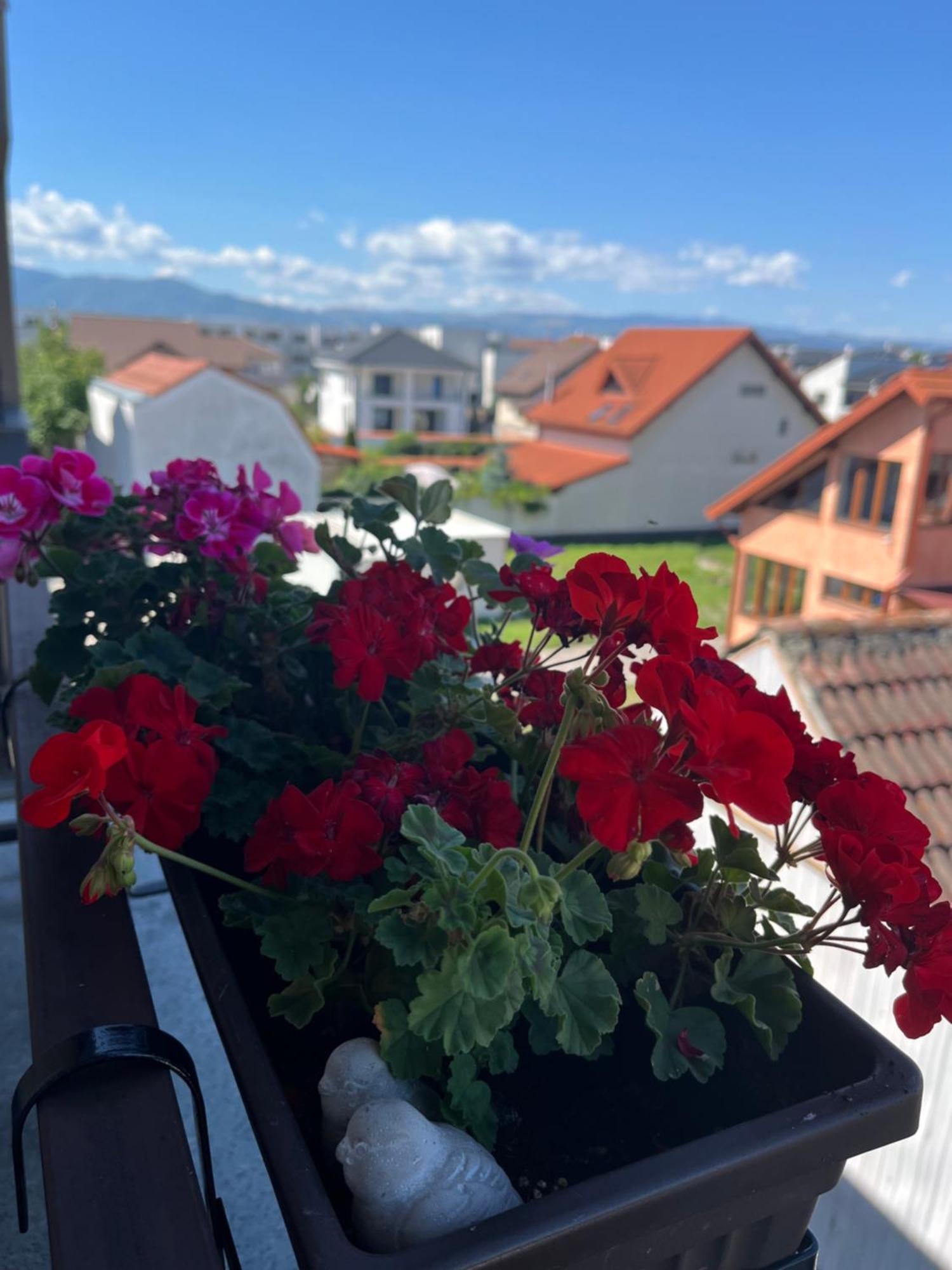 Apartament Acasa Sibiu Eksteriør billede